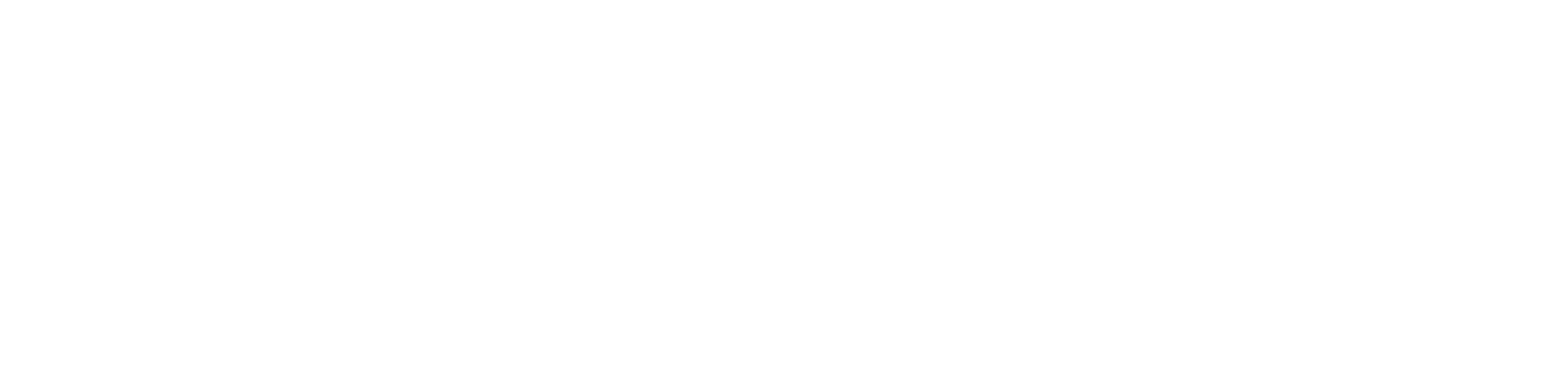 PriMetrixLogo white
