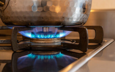 No, You Don’t Need to Stop Selling Gas Stoves