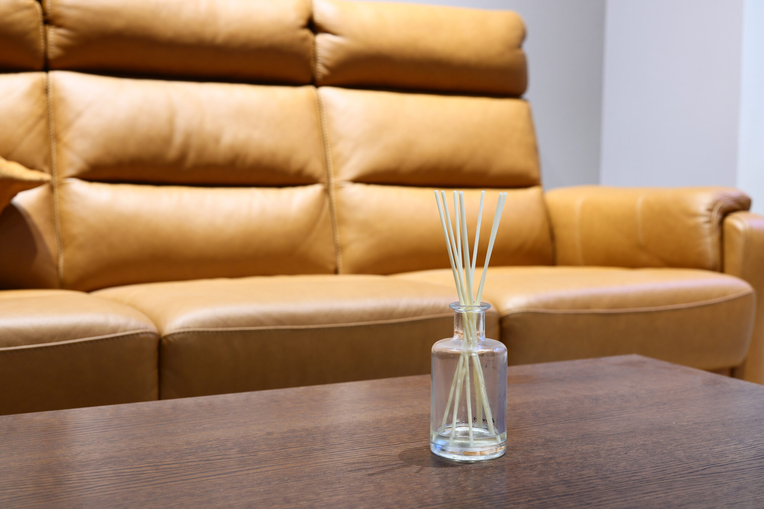A Modern Living Room featuring a Stylish Leather Couch accompanied by a Relaxing Diffuser
